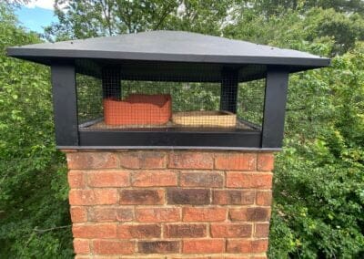 double chimney with new cap