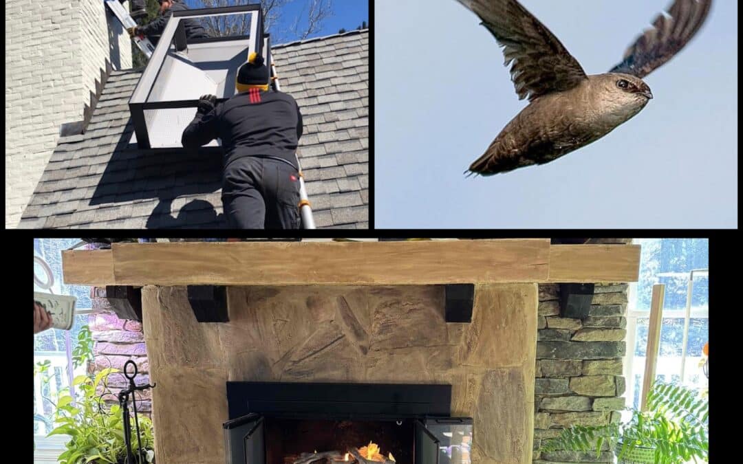 Spring Chimney Maintenance in Atlanta: How to Prevent Common Issues and Keep Your Home Safe