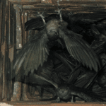 Critters in atlanta chimney, animal in atlanta chimney, cleaning for animal in atlanta chimney